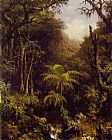 Martin Johnson Heade Canvas Paintings - Brazilian Forest